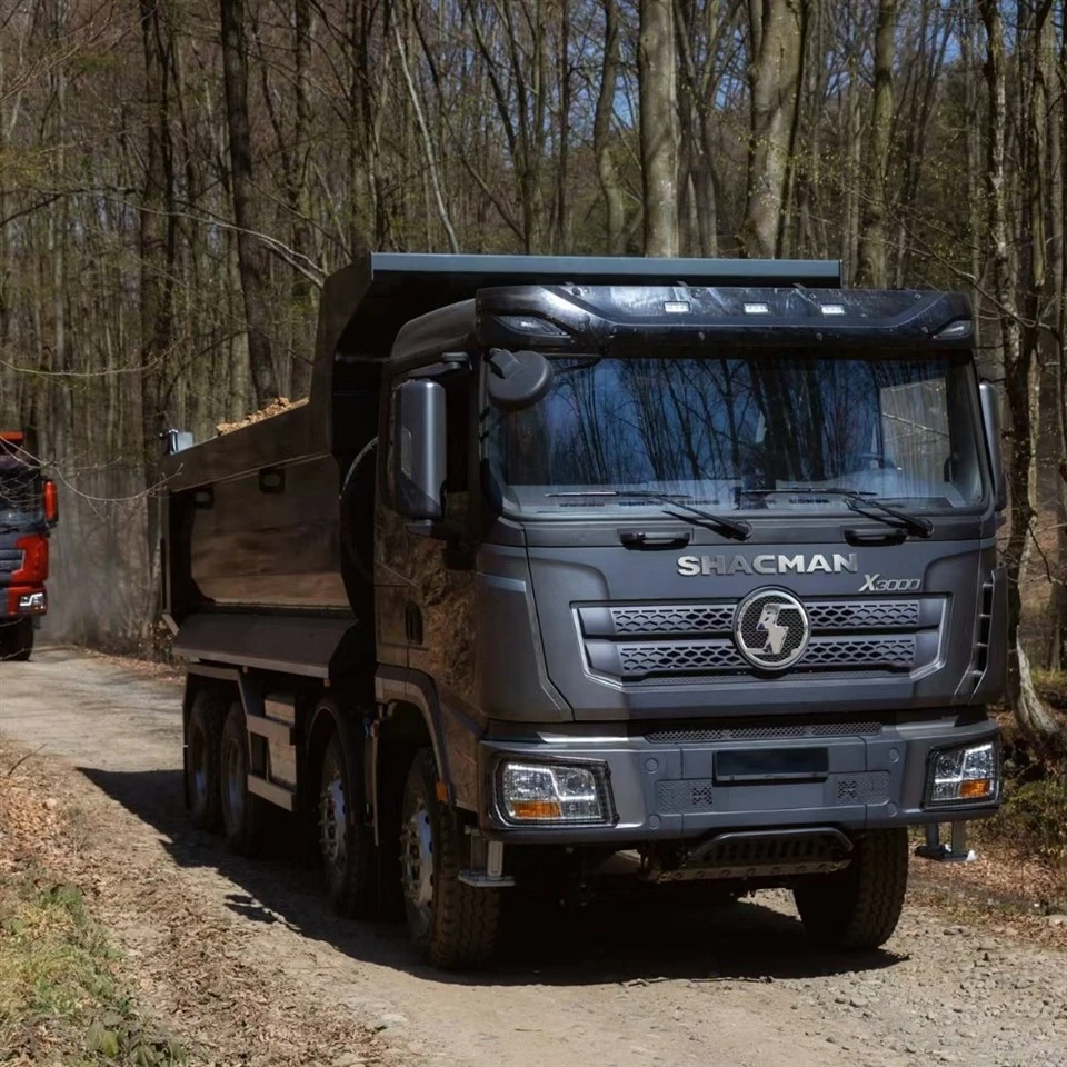 Shacman DeLong X3000 sklápěč Truck 6x 4 10 kola